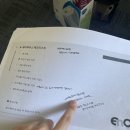 +41, 42 브리즈번 초이 감자탕ㅣ아이폰 16 실물 후기ㅣ브리즈번 애플스토어ㅣ브리즈번 스케이트 보드샵...