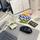 모아(건어물파는 언니) | 아무것도 안 했는데 벌써 3월이라니... NHR 입사 3달이다!!