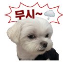 한국해외투자연구원 | 같은 장에 수익률 40%? 카카오뱅크 해외 적립식 투자 1년 넘게 굴려본 솔직 후기 (feat. 한국투자증권)