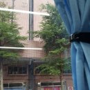 포토웨이브즈 | 11월 대만 혼자 여행 셋째날(DAY3)_예스진지투어 가지 않고 지우펀만 가는 방법