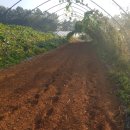 조리농업협동조합 이미지