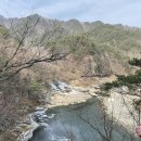 하늘푸른클린 Daum카페