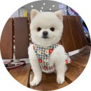 올림픽노래주점 | [광진구청 맛집] 레트로 끝판왕 한식주점 '손에손잡고' 구의역점 안주 먹방!!🔥 <수제돈까스&연탄LA갈비...