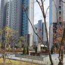풍경채베스트공인중개사사무소 | 대학생 자취방 찾다가 만난 별하람부동산 풍경채단지내탑공인중개사사무소 후기