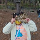 푸른스쿨어린이집 이미지