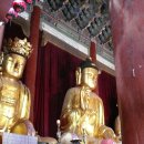 대화사 | 부여 무량사 소조아미타여래삼존좌상(扶餘 無量寺 塑造阿彌陀如來三尊坐像).충남