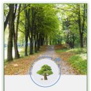 한국탁본자료관 이미지