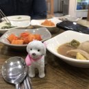 청보리낙지마당 이미지