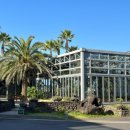 호텔 볼 이미지