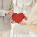 품안애 스테이 이미지