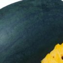 한빛농자재마트 이미지