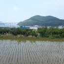 당골농장 이미지