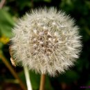 풍경(오월의 이야기 이미지