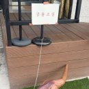 렉스 | [수원 카페] 행궁동 공룡 카페 렉스프레소뮤지엄 방문후기