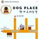 도그플레이스 이미지