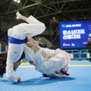 한상기 주짓수 이미지