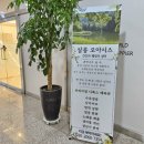 오아시스테라피 네이버블로그