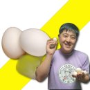 행운유정란 쇼핑하우