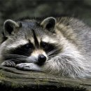 한때-아름다운 시간 이미지