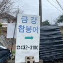 진안맛집 금강참붕어 진안친구가 추천해준 찐맛집 내돈내산 솔직후기