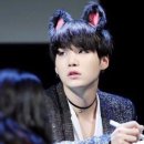 야옹 이미지