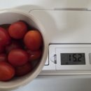 바이크구하기 | 숀리 엑스바이크 E3 후기, 안장통 때문에 보조안장 찾다가 결국 실패