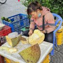 알래스카 " 베트남 다낭의 카지노와 순두부 그리고, 잭푸릇 이미지