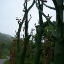 으름재쉼터 이미지