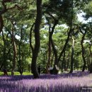 방축골농장 이미지