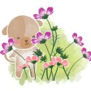 (주)연지 이미지