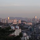 백련 이미지