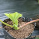 반디별 펜션 이미지