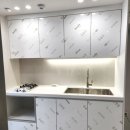 광진 pet 이미지