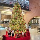 조성주유소 | 서울 근교 김포 인기 카페 추천 베스트10 김포카페 방문 순위 TOP50 총정리