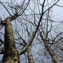 산본중앙공원 이미지