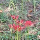 현대자동차 연지점 이미지