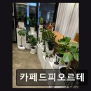 정성카서비스 | [대전 꽃집] 카페드피오르테 친절함과 신선함이 돋보인다
