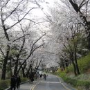 금지순환길 이미지