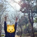 에코공원 이미지