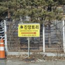 진양트리 이미지