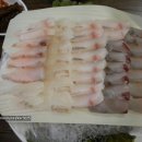 (주)해동활어 이미지