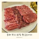 황금 | 강원도 동해 맛집 동해 한우 황금송아지 소고기 후기