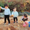 선장가든 이미지