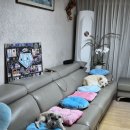 저의 단조로운 일상을 공개합니다^^ 이미지