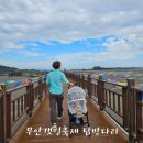 무안황토갯벌랜드 황토치유방 | 2025 무안황토갯벌랜드의 축제에 꼬마기차타고 탐방다리 보러갔어요