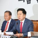 김기현 카카오 검색결과