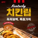 KFC세종대 티스토리
