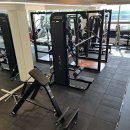 본앤머슬 이미지