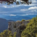 사진마당 이미지