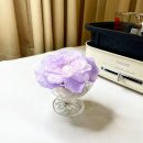 코슈아트 이미지